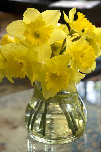 Daffodils on Glass copy.jpg